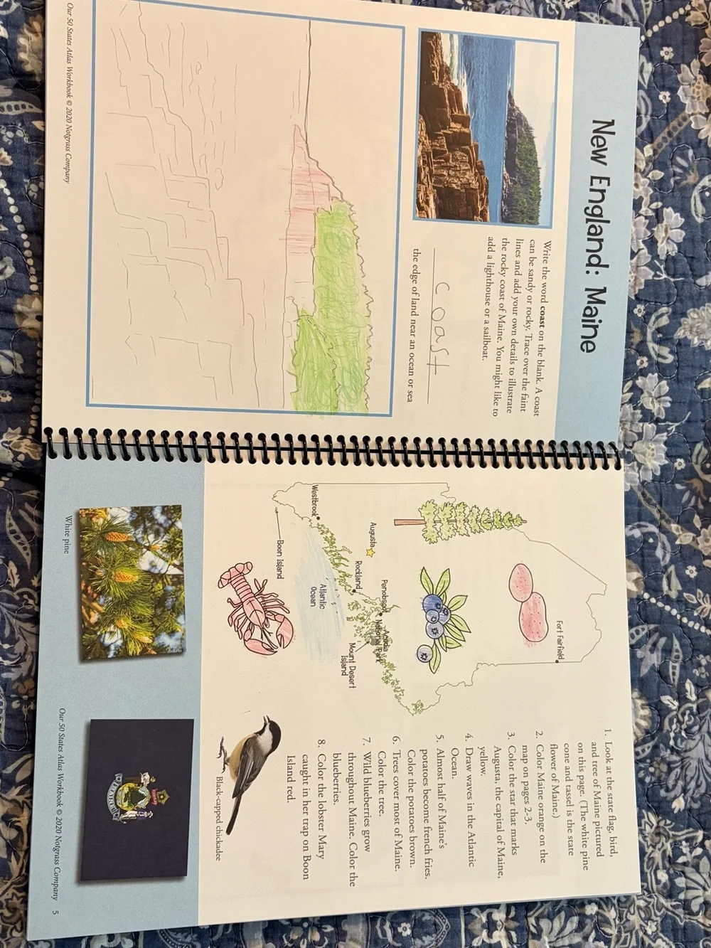 Our 50 States Atlas Workbook Set - Blue Covers